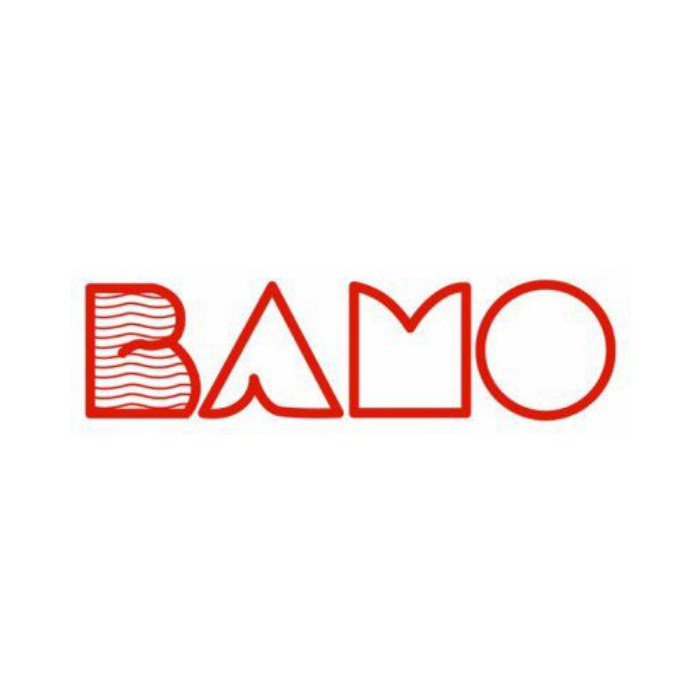 bamo-sensors-and-and-analysis-of-liquids-stc-vietnam.png