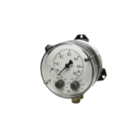 ds21010a20bk0w00u0006-pressure-gauge-fischer.png