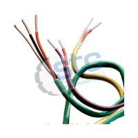 watlow-–-k20-1-321-–-thermo-coupler-wire-sensing-–-stc-vietnam.png